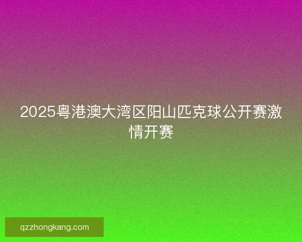 2025粤港澳大湾区阳山匹克球公开赛激情开赛