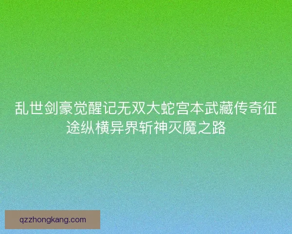 乱世剑豪觉醒记无双大蛇宫本武藏传奇征途纵横异界斩神灭魔之路