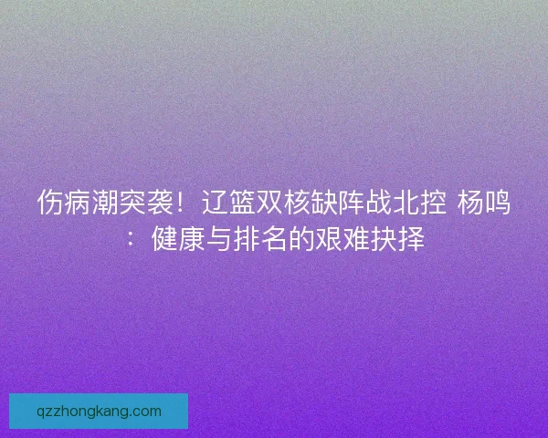 伤病潮突袭！辽篮双核缺阵战北控 杨鸣：健康与排名的艰难抉择